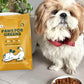 Paws For Greens Veg Dog Food Plant-Based Meat-Free for All Breeds Dry Kibble high Protein Complete Nutrition special for puppy 1kg