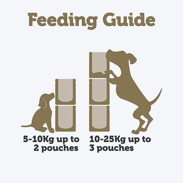 Applaws White Fish With Salmon Green Beans & Lentils Pouch Wet Dog Food 85g