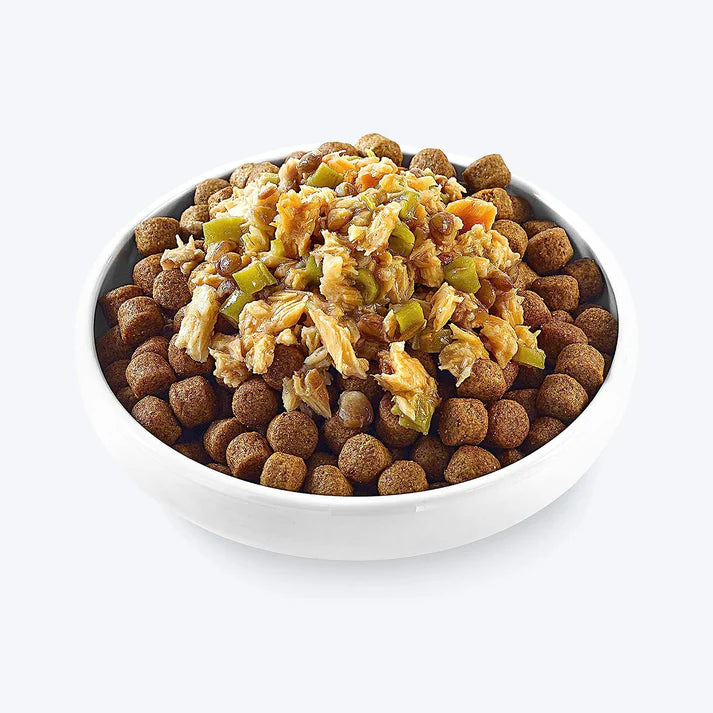 Applaws White Fish With Salmon Green Beans & Lentils Pouch Wet Dog Food 85g