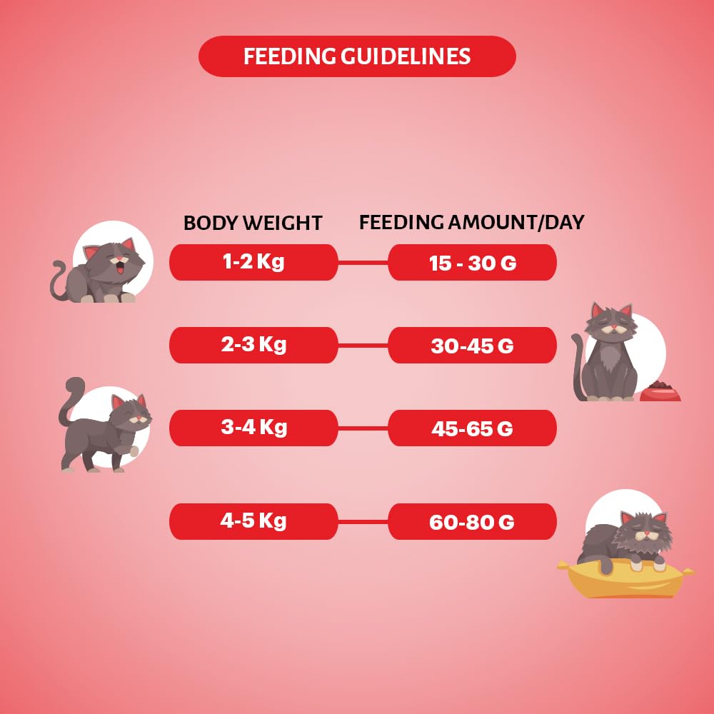 Signature Grain Zero Salmon Adult All Breed Adult Cat Dry Food 1.2kg + Free Creamy Treat