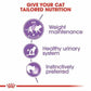 Royal Canin Sterilised Gravy Salsa Wet Food 85gm