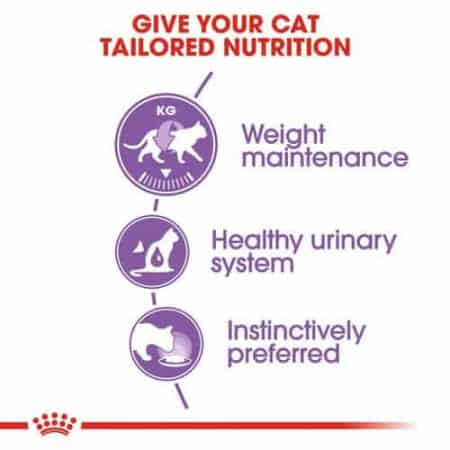 Royal Canin Sterilised Gravy Salsa Wet Food 85gm