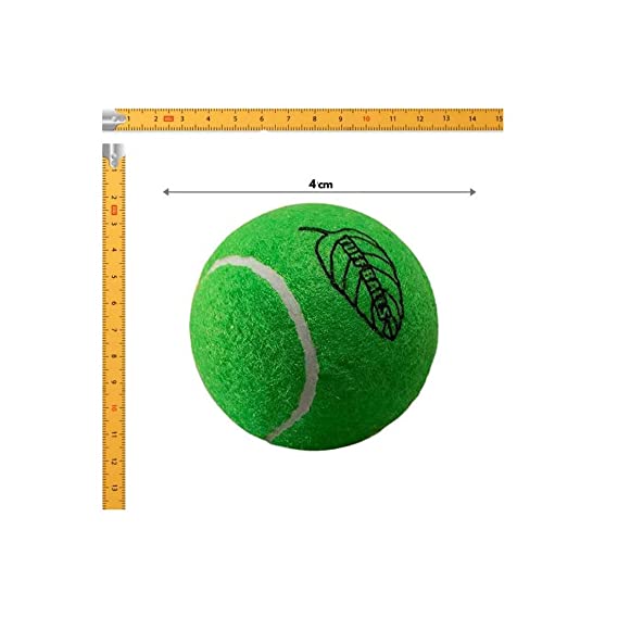 Petsport Tuff Mint Balls Toy For Dogs 2.5" 2pk