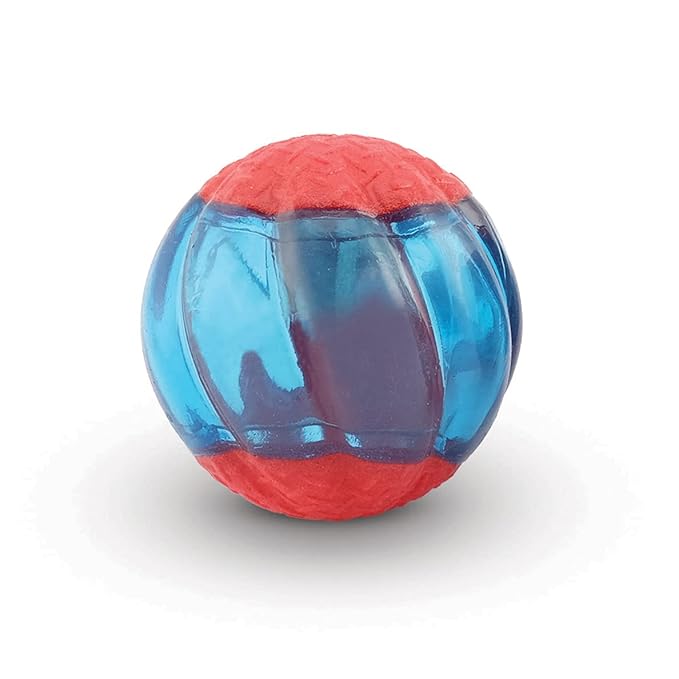 Zues Duo Ball with LED Dog Toy