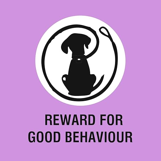 Chester's Tasty Chew Pumpkin Flavor Biscuit For Dogs 700g