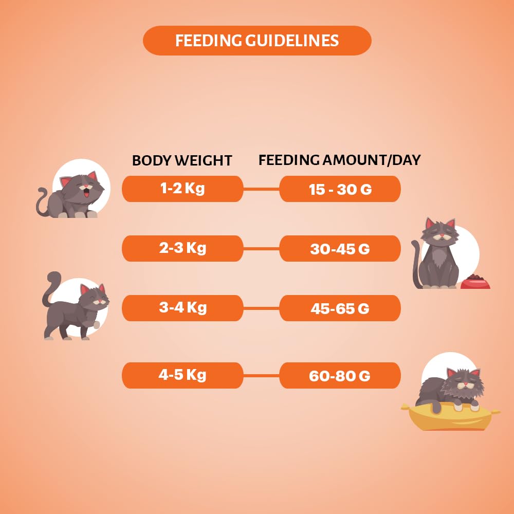 Signature Grain Zero Mackerel Adult All Breed Adult Cat Dry Food 1.2kg + Free Creamy Treat