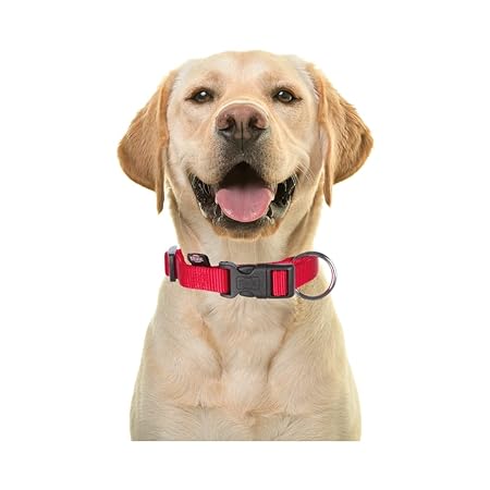 Trixie Classic Collar For Dogs Red M/L 35-55cm/20mm