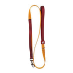 Gigwi Classic Line Dog Leash Soft Mesh Padding with Reflective 15mmx120cm Medium