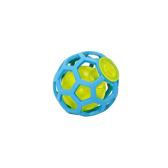 Petmate JW Hole-ee Treat Ball Toy For Dog