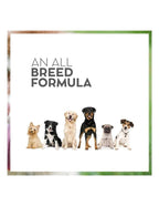 Drools Vet Pro hypoallergenic Dry Dog Food