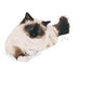 Royal Canin Hairball  Care Cat Dry Food 400g