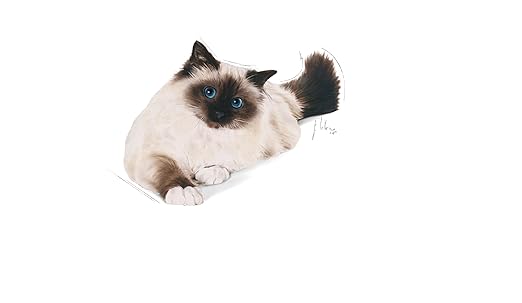 Royal Canin Hairball  Care Cat Dry Food 400g