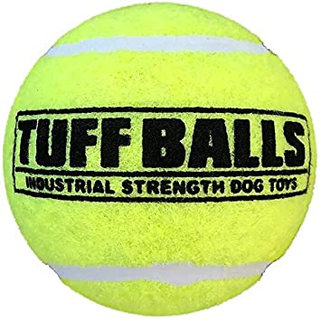 Petsport Jr. Tuff Ball Toy For Dogs 5cm 1.8" 2-Pack