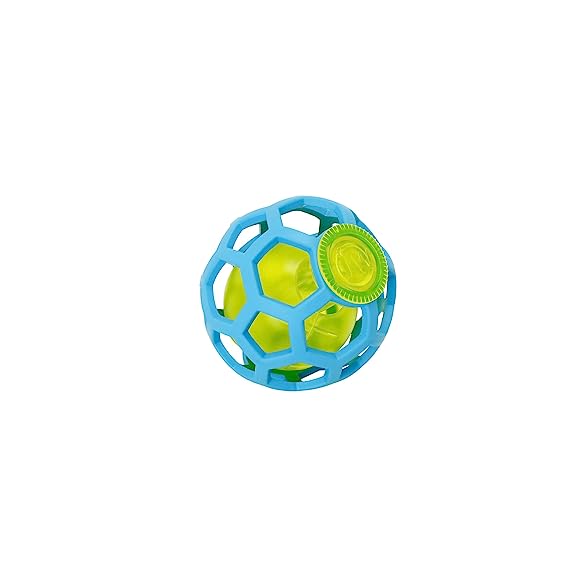 Petmate JW Hole-ee Treat Ball Toy For Dog