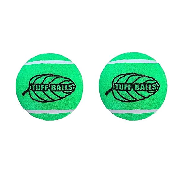 Petsport Jr Mint Tuff Balls Toy For Dogs 1.8" 2pk