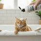 Nature Paws Lavender & Shea Butter Shampoo & Conditioner For Dogs and Cats