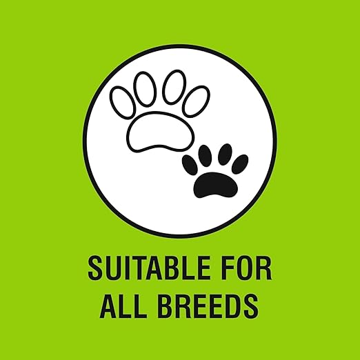 Chester's Tasty Chew Pumpkin Flavor Biscuit For Dogs 700g