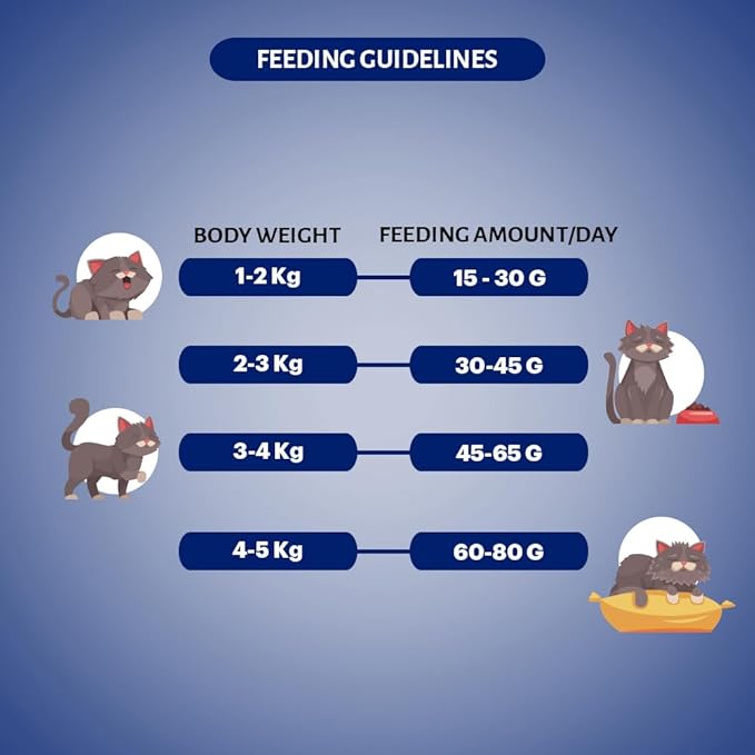 Signature Grain Zero Seafood Adult All Breed Adult Cat Dry Food 1.2kg + Free Creamy Treat