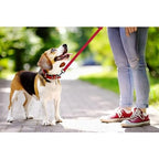 Trixie Classic Lead Fully Adjustable Red L-XL 1.20-1.80m-25mm