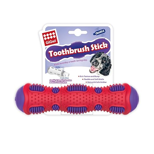 GiGwi Toothbrush Stick with Crackle Dog Toy Medium