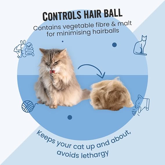Vivaldis Bark Out Loud Cat Pillow Hairball Control Treats For Cats 100g