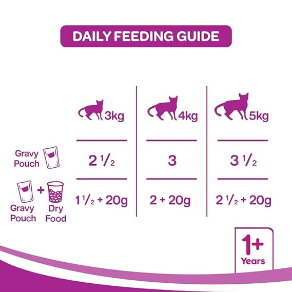 Whiskas Adult (+1 Year) Wet Cat Food Ocean Fish 80G