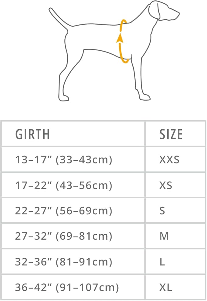 Ruffwear Sun Shower Raincoat Jacket - Hibiscus Pink