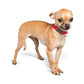 Trixie Classic Collar For Dogs Red M/L 35-55cm/20mm