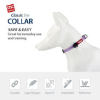 Gigwi Classic Line Collar With Reflective Stitching Sturdy Buckle with Metal D-Ring For Dogs Neck Size 20-30cm Purple (Small)