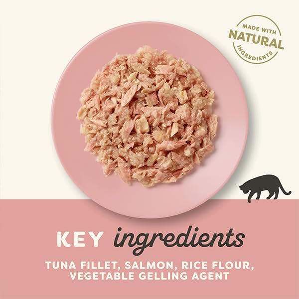 Applaws Tuna Fillet with Salmon in a Tasty Jelly 70g