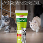 Bio Pet Active Vitali Cat Multivitamin Paste For Cats 100ml