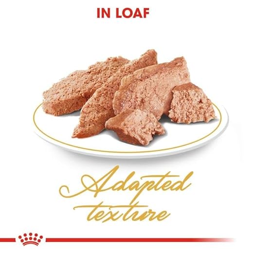 Royal Canin Loaf-Mousse Adult Persian Wet Cat Food 85g