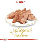 Royal Canin Loaf-Mousse Adult Persian Wet Cat Food 85g
