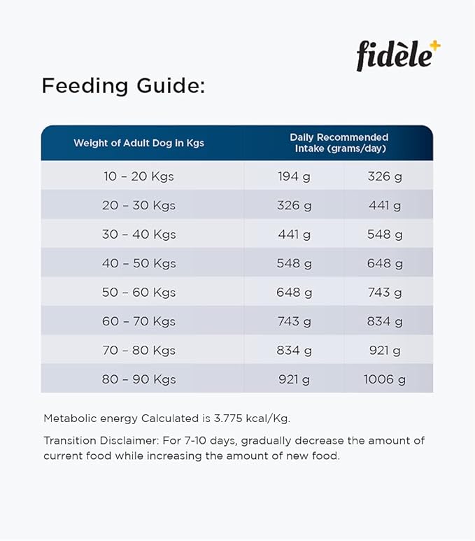 Fidele Adult Large Dry Food For Dog
