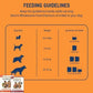 Petaholic Wholesome Woof Chicken & Rice 100% Natural and High Protein Dog Food 300g 2 Pouch 150g Each