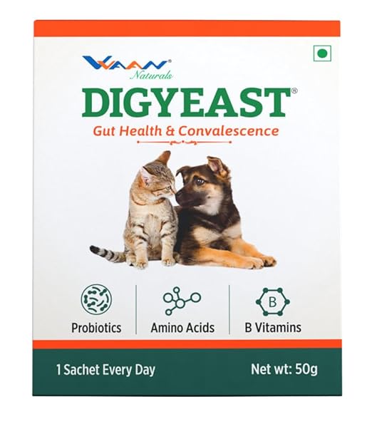 Vvaan Digyeast Gut Health & Convalescence, Anti Stress 100% Pure Natural Supplementary Food For Dogs & Cats Contain 10 Sachet 50g