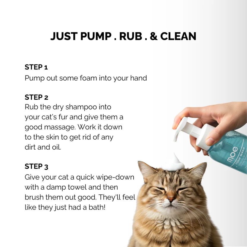 Moe Puppy Foam Wash Dry Shampoo for Cats | Safe for Kittens Cruelty Free and Plant Based Formula 300ml