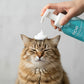 Moe Puppy Foam Wash Dry Shampoo for Cats | Safe for Kittens Cruelty Free and Plant Based Formula 300ml
