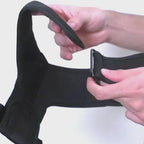 Zee dog Prisma Air Mesh Plus Harness