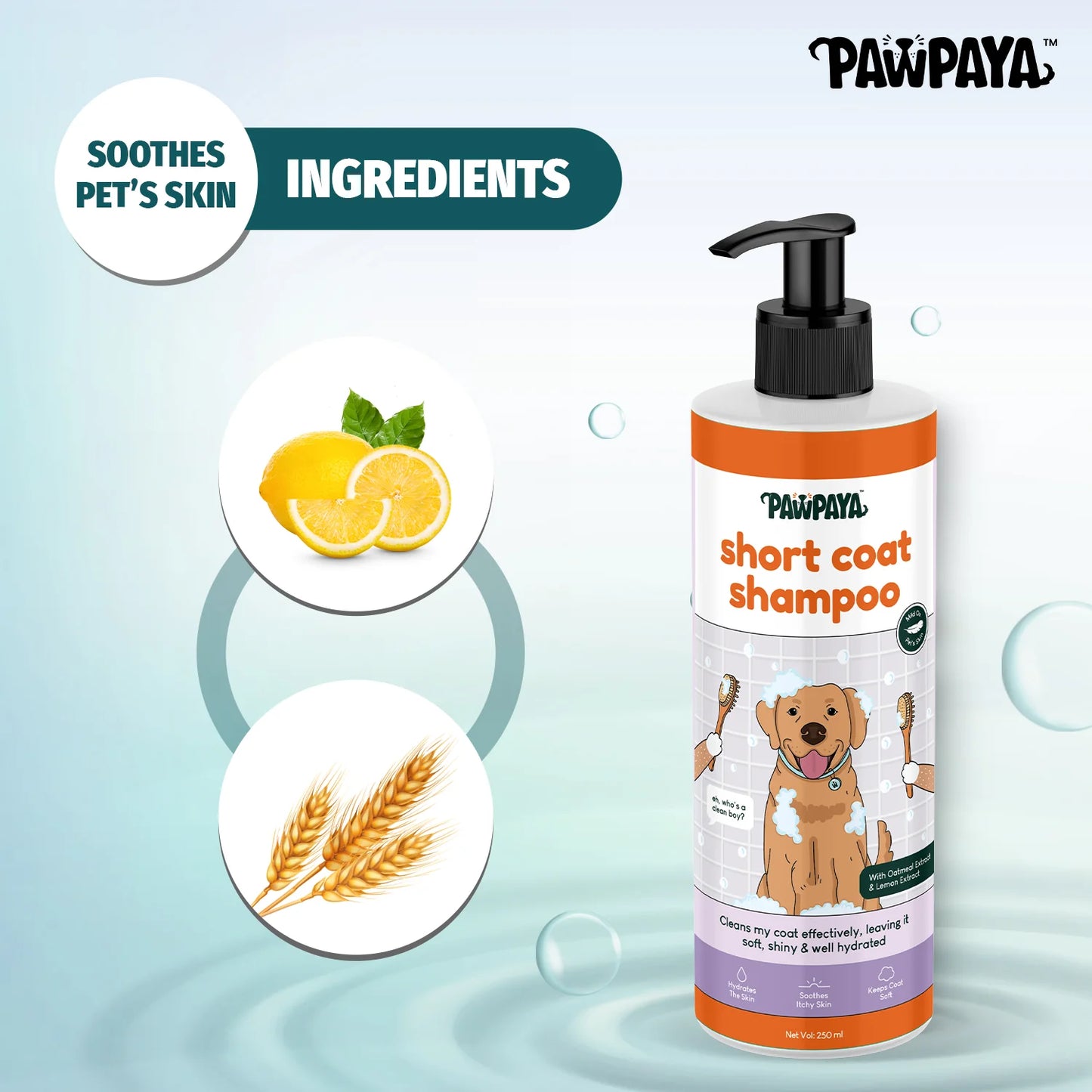 Pawpaya Short Coat Shampoo For Dogs 250ml