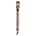 Basil Rainbow Leash For Dog XL