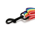 Basil Rainbow Leash For Dog XL
