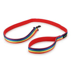 Basil Rainbow Leash For Dog XL
