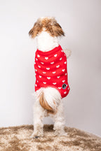 Pet Snugs Red Heart Sweater For Your Furry Friend