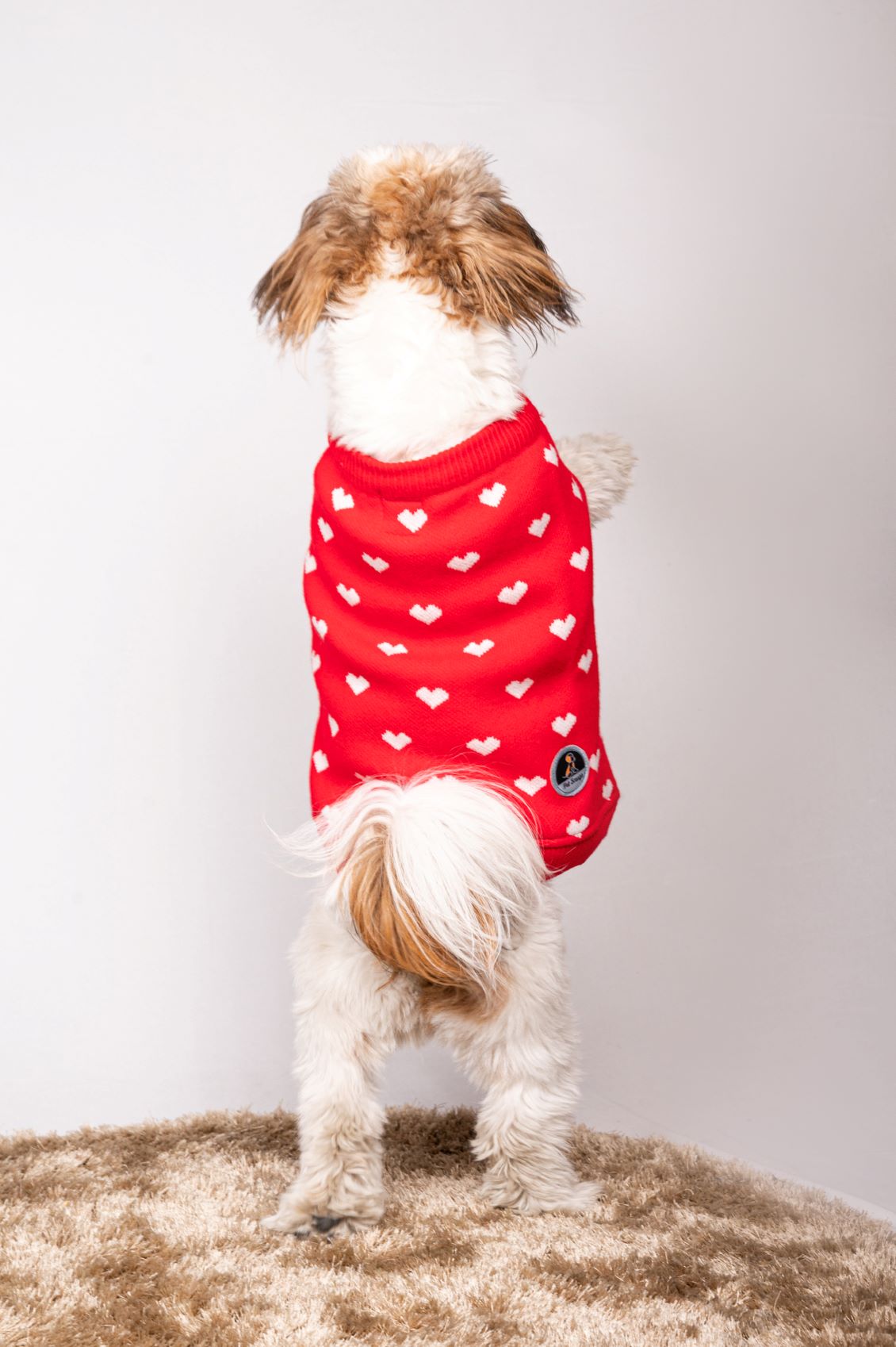 Pet Snugs Red Heart Sweater For Your Furry Friend
