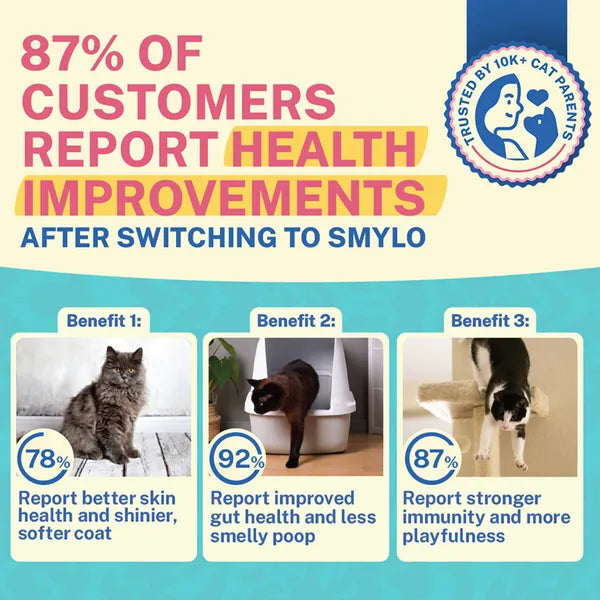 Smylo Kitten Tuna Salmon, Pumpkin, Fresh & No-Preservative Wet Cat Food 70g