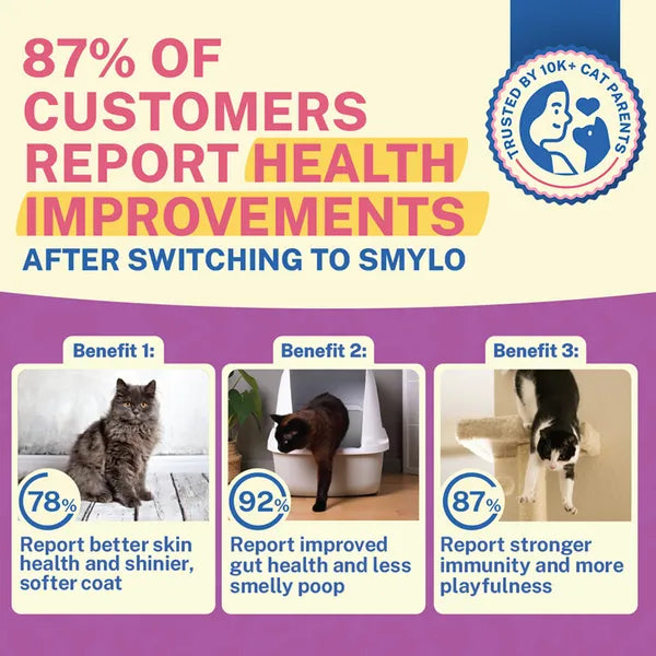 Smylo Adult Chicken & Liver, Pomegranate, Fresh & No-Preservative Wet Cat Food 70g