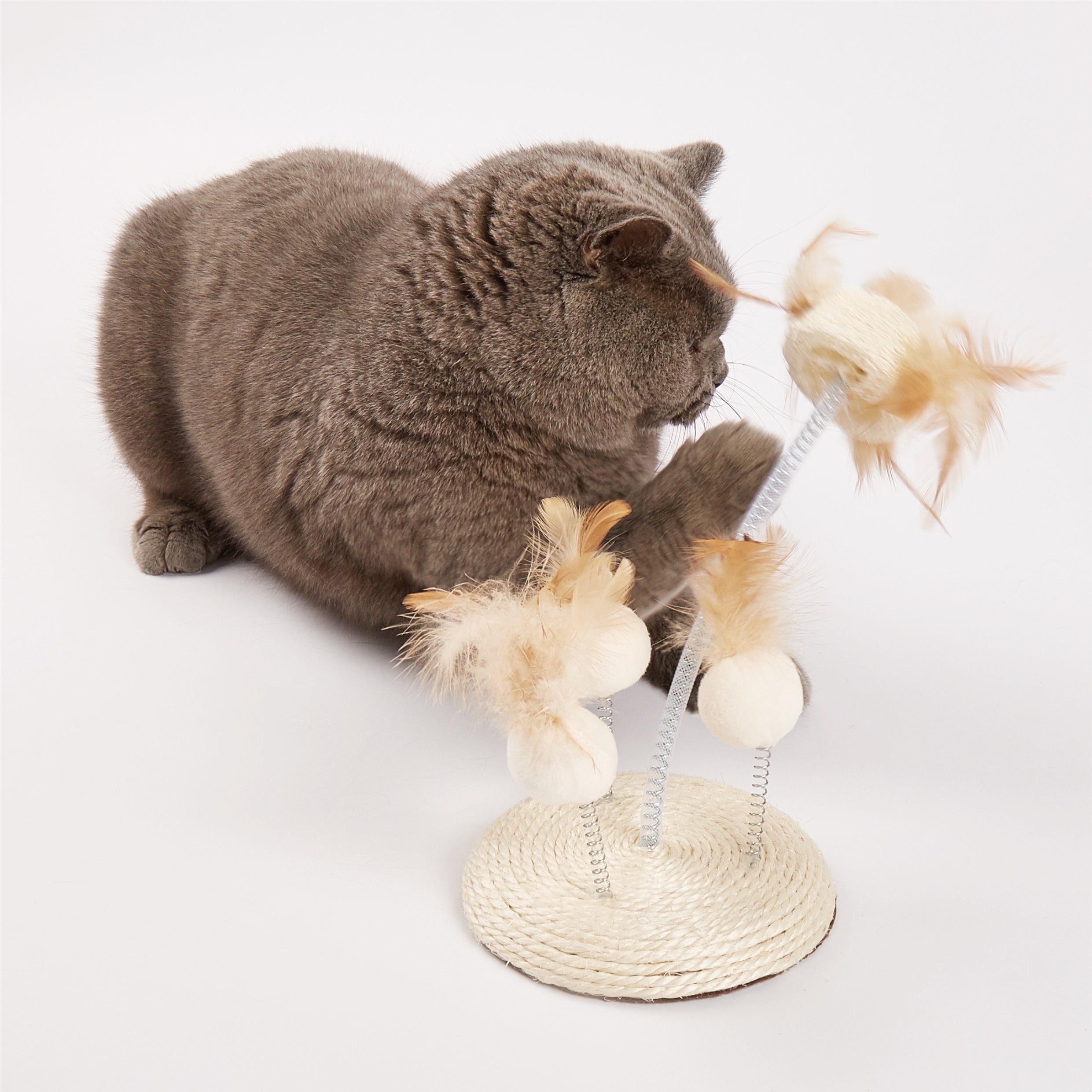 FOFOS Natural Wobbler Cat Toy 14 x 14 x 25cm