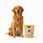 Dogs & Tiddles Chicken Gizzards Gluten Free Dog Treats 70g