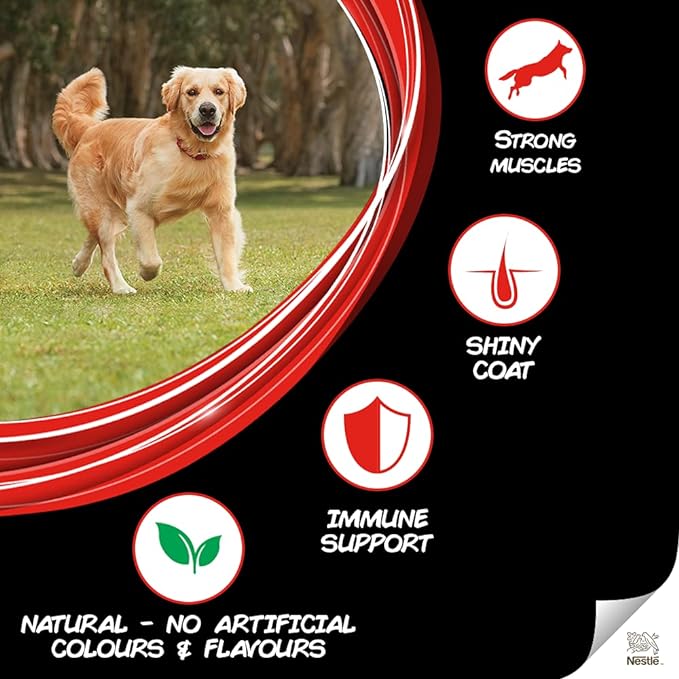 Purina Supercoat All Breed Adult Dry Dog Food with Chicken